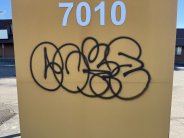 Graffiti Graffiti