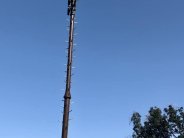 EWS Tower without "Tree Branches" installed EWS Tower without "Tree Branches" installed
