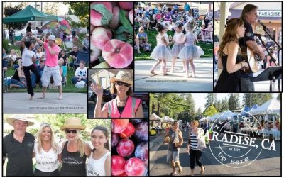Collage of attendees and performers at the Party in the Park Collage of attendees and performers at the Party in the Park
