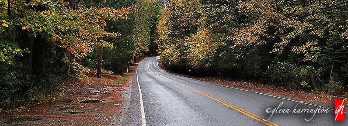 A picture of a two-lane road hugged by trees A picture of a two-lane road hugged by trees